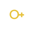Dorigo Autonoleggi Logo